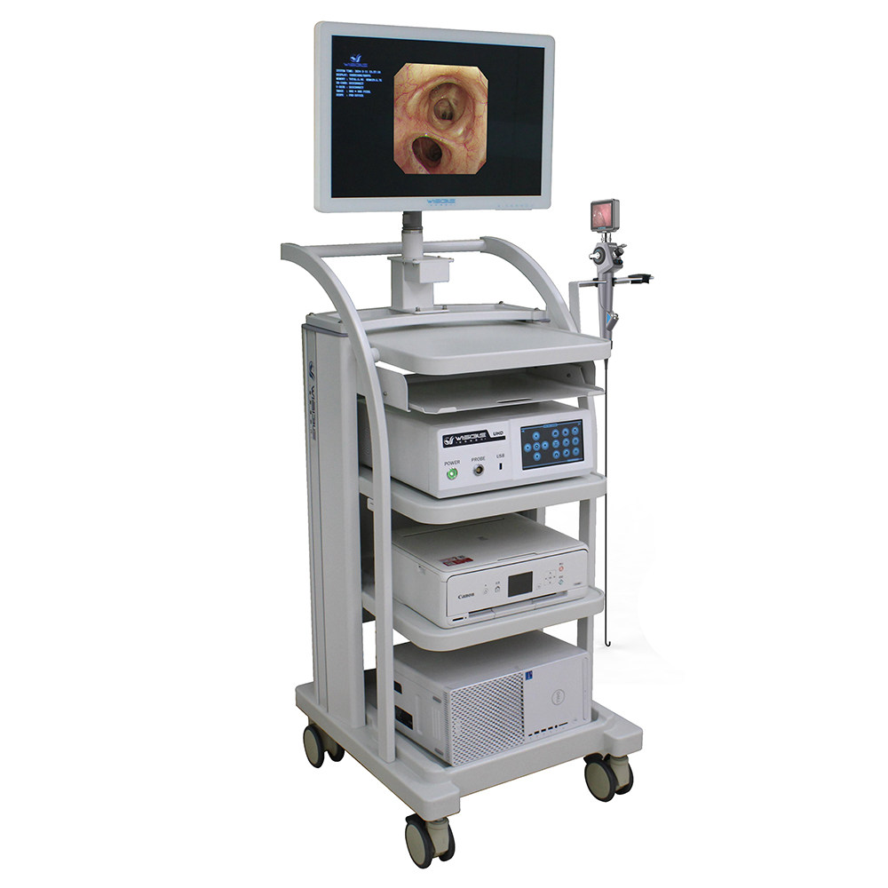 Bi-Trumed BIOTECH CO., LTD